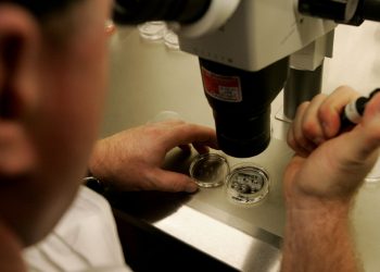 Fertility clinics throughout Alabama quickly announced they were pausing IVF treatments in light of legal risks, after the state's supreme court ruled frozen embryos are children / ©AFP