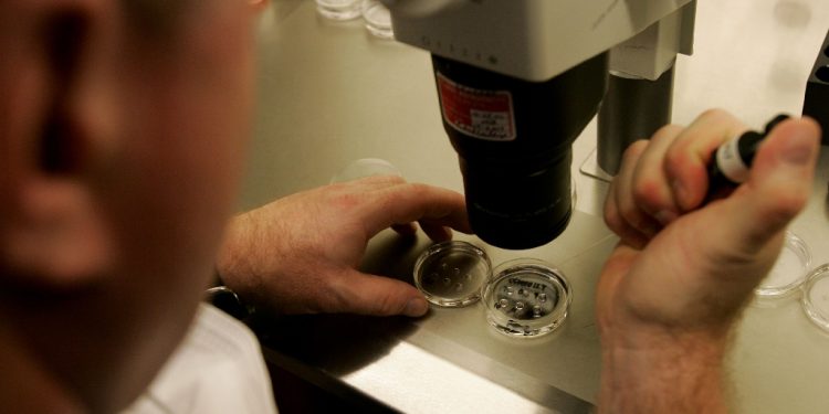 Fertility clinics throughout Alabama quickly announced they were pausing IVF treatments in light of legal risks, after the state's supreme court ruled frozen embryos are children / ©AFP