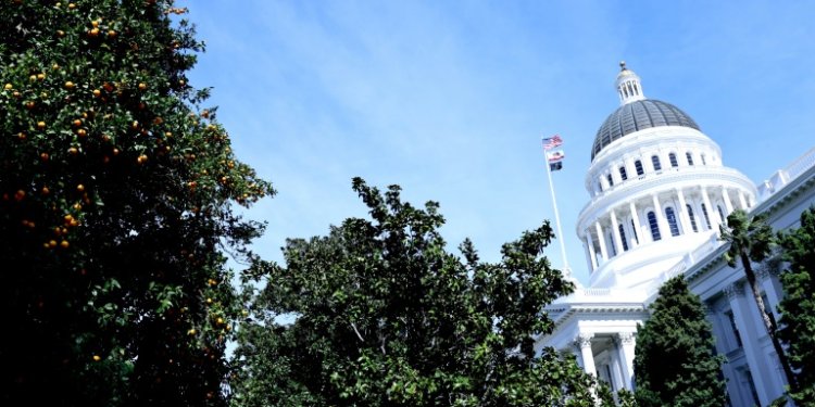 Legislators in the California state capitol are working on a flurry of laws aiming to crack down on abusive uses of artificial intelligence on the home turf of some of the world's powerful tech titans. ©AFP