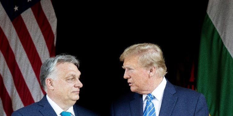 This handout photograph taken and released on March 8, 2024, by the Press Office of the Hungarian Prime Minister, shows Hungarian Prime Minister Viktor Orban (L) and former US President and Republican presidential candidate, Donald Trump during their meeting at Trump's Mar-a-Lago residence in Palm Beach, Florida.  / ©AFP