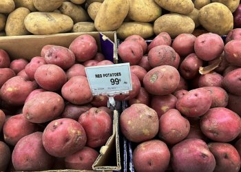 Americans eat more potatoes than any other vegetable -- 50 pounds per person per year, according to Agriculture Department figures. ©AFP