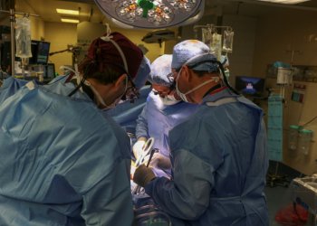 Surgeons at Massachusetts General Hospital performing the world's pig kidney transplant into a living human. ©AFP