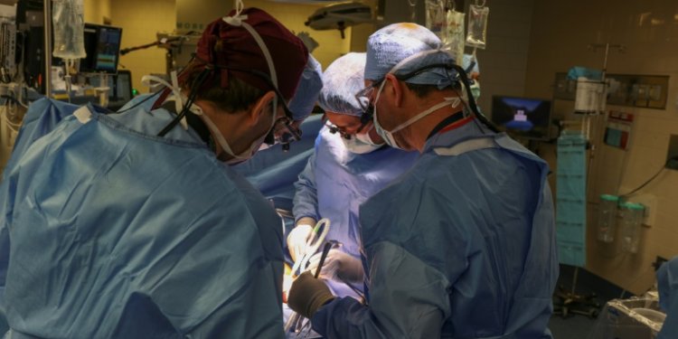 Surgeons at Massachusetts General Hospital performing the world's pig kidney transplant into a living human. ©AFP