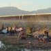 Migrants seeking asylum in the United States wait on the Mexican side of the border in Ciudad Juarez, after the US Supreme Court lifted its hold on a Texas law that allows state police to arrest and deport migrants / ©AFP