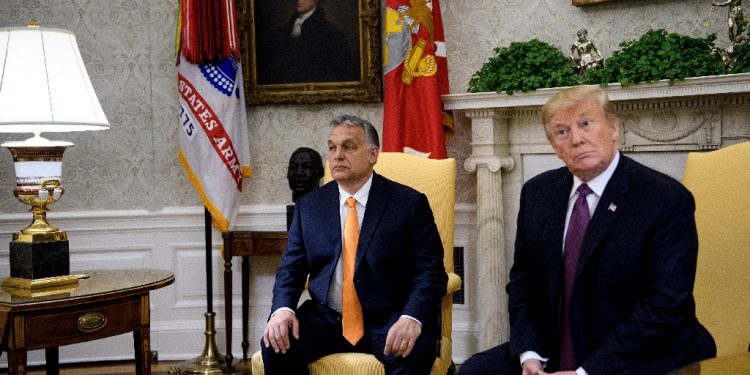 Hungary's Prime Minister Viktor Orban and US President Donald Trump meet at the White House in 2019 / ©AFP