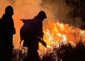 Extreme heat was recorded across South America in February. ©AFP