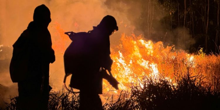 Extreme heat was recorded across South America in February. ©AFP