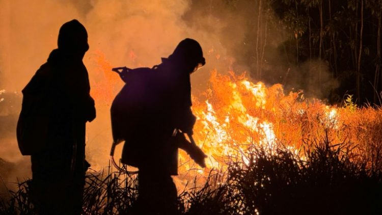 Extreme heat was recorded across South America in February. ©AFP