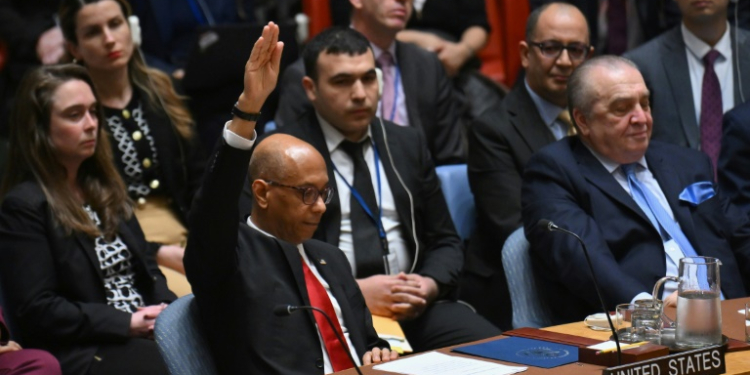 US Deputy Ambassador to the UN Robert Wood votes against a resolution allowing Palestinian UN membership at United Nations headquarters in New York, on April 18, 2024, during a United Nations Security Council meeting . ©AFP