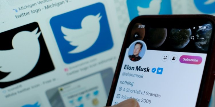 Blue ticks return, for some -- Elon Musk's blue tick next to his name on a smartphone in 2023. ©AFP