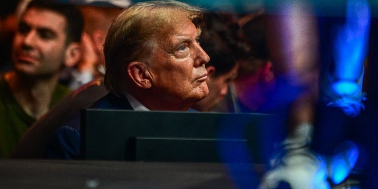 Former US President Donald Trump attends the Ultimate Fighting Championship in Miami, Florida in March / ©AFP