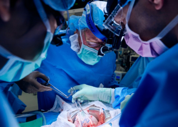 Surgeon Robert Montgomery assists in lowering the gene-edited pig kidney into patient Lisa Pisano's abdomen on April 12, 2024. ©AFP