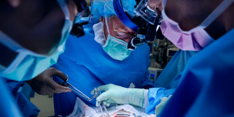 Surgeon Robert Montgomery assists in lowering the gene-edited pig kidney into patient Lisa Pisano's abdomen on April 12, 2024. ©AFP