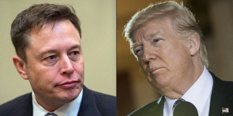 Elon Musk (L) says he will not directly back Donald Trump (R) or Joe Biden, but his X feed makes clear that his support lies with the Republican / ©AFP