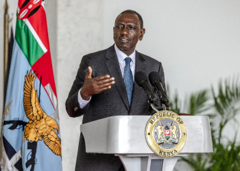 Kenya President William Ruto is on the first state visit to the United States by an African leader since 2008   / ©AFP