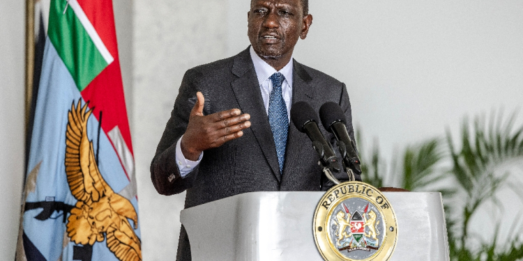 Kenya President William Ruto is on the first state visit to the United States by an African leader since 2008   / ©AFP