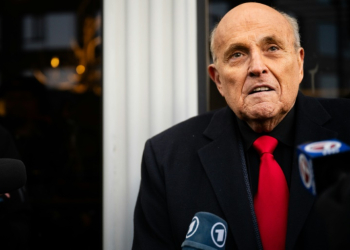 Rudy Giuliani appeared virtually to enter 'not guilty' pleas to Arizona charges that he tried to subvert the 2020 presidential election . ©AFP