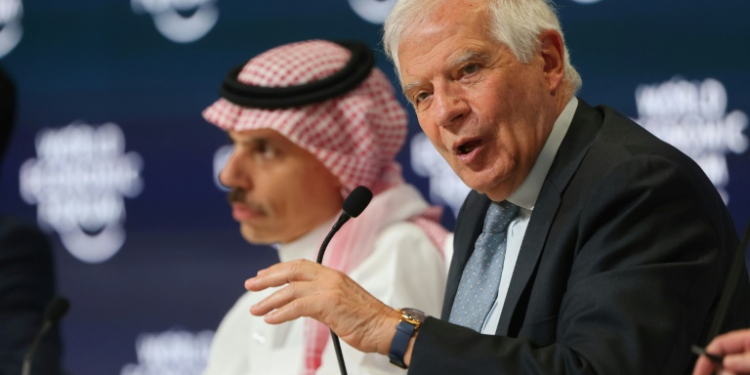 EU foreign policy chief Josep Borrell speaks next to Saudi Foreign Minister Prince Faisal bin Farhan at a World Economic Forum meeting in Riyadh on April 28, 2024. ©AFP