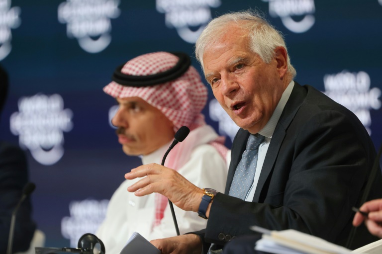 EU foreign policy chief Josep Borrell speaks next to Saudi Foreign Minister Prince Faisal bin Farhan at a World Economic Forum meeting in Riyadh on April 28, 2024. ©AFP