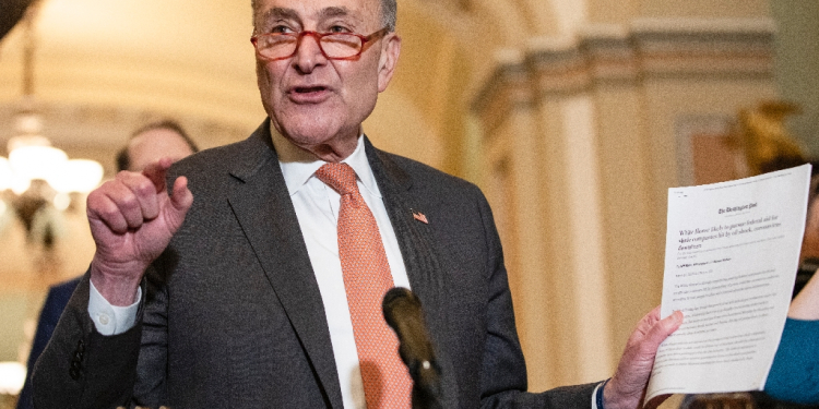 Senate Minority Leader Chuck Schumer urged the Justice Department to use every tool to prevent and prosecute price-fixing / ©AFP