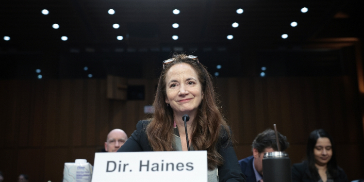 Director of National Intelligence Avril Haines, pictured at the US Congress on May 2, 2024, singled out Russia as the bggest threat to US elections / ©AFP