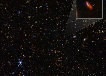 The galaxy JADES-GS-z14-0, as seen by the James Webb Space Telescope, existed 290 million years after the Big Bang. ©AFP