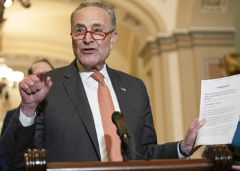 Senate Minority Leader Chuck Schumer urged the Justice Department to "use every tool" to prevent and prosecute price-fixing. ©AFP