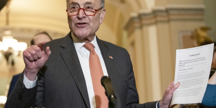 Senate Minority Leader Chuck Schumer urged the Justice Department to "use every tool" to prevent and prosecute price-fixing. ©AFP