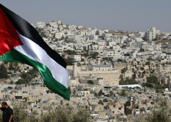 A Palestinian flag on a hilltop near the southern West Bank city of Hebron. ©AFP