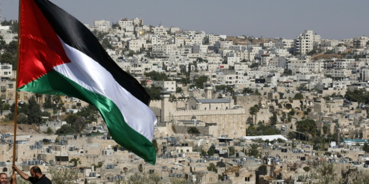 A Palestinian flag on a hilltop near the southern West Bank city of Hebron. ©AFP