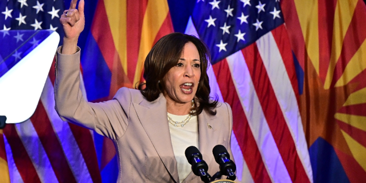 US Vice President Kamala Harris has taken the lead on issues such as abortion and winning over Black voters  / ©AFP