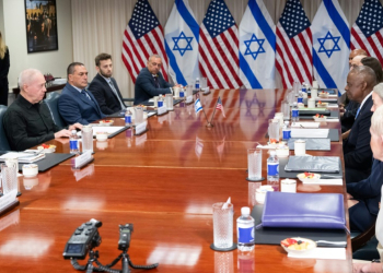 US Secretary of Defense Lloyd Austin meets with Israeli Defense Minister Yoav Gallant at the Pentagon on June 25, 2024. ©AFP