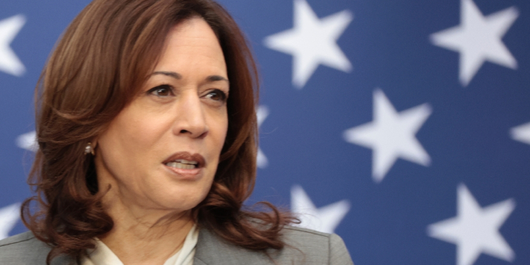 US Vice President Kamala Harris will travel to the Swiss city of Lucerne on June 15 for the Ukraine peace summit / ©AFP