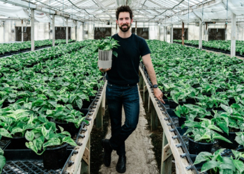 Lionel Mora, co-founder of French startup Neoplants, poses for a portrait inside the greenhouse where they grow the Marble Queen pothos plants in Lodi, California. ©AFP