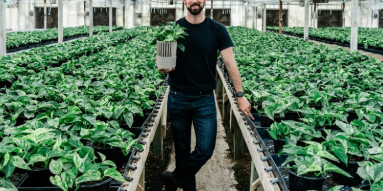 Lionel Mora, co-founder of French startup Neoplants, poses for a portrait inside the greenhouse where they grow the Marble Queen pothos plants in Lodi, California. ©AFP