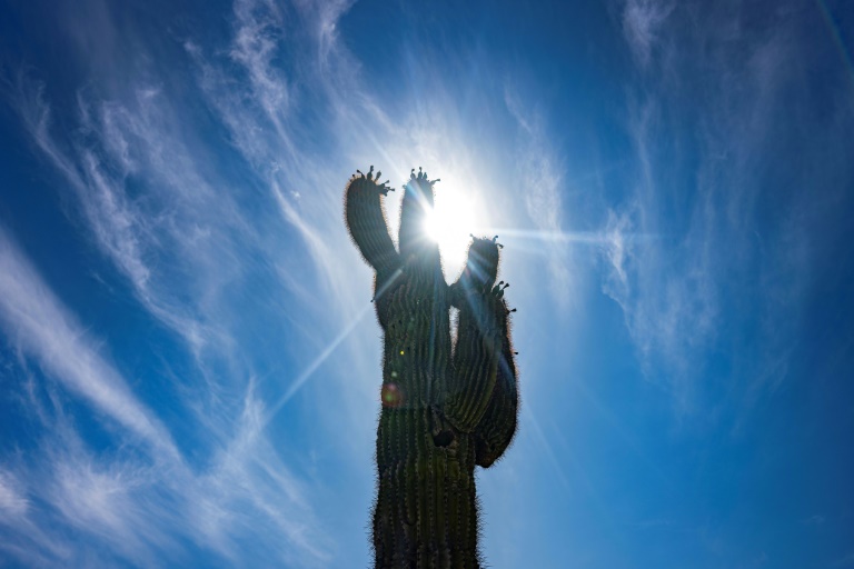 While the southwestern United States is accustomed to sweltering heat, the current heat wave has been historically early and extreme . ©AFP