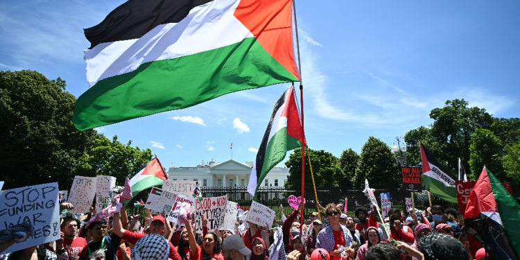 Pro-Palestinian demonstrators rally near the White House in Washington, DC, on June 8, 2024 / ©AFP