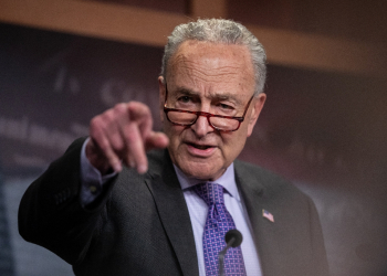 Senate Majority Leader Chuck Schumer said his grandson was born thanks to the miracle of IVF / ©AFP