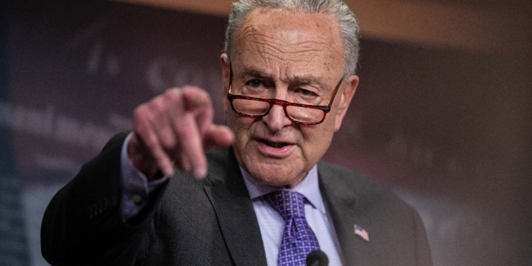 Senate Majority Leader Chuck Schumer said his grandson was born thanks to the miracle of IVF / ©AFP