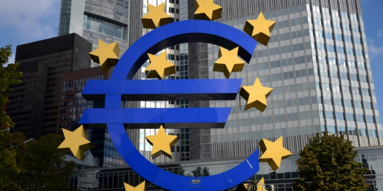 The euro has come under pressure after a strong showing by far-right parties in EU Parliament votes, and diminishing expectations of US interest rate cuts. ©AFP