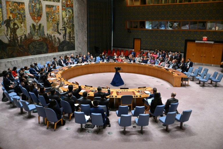 United Nations Security Council members votes to adopt a US-drafted resolution supporting a ceasefire plan in Gaza. ©AFP