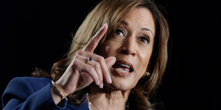 US Vice President Kamala Harris speaks at her first campaign rally in Milwaukee, Wisconsin, on July 23, 2024 / ©AFP