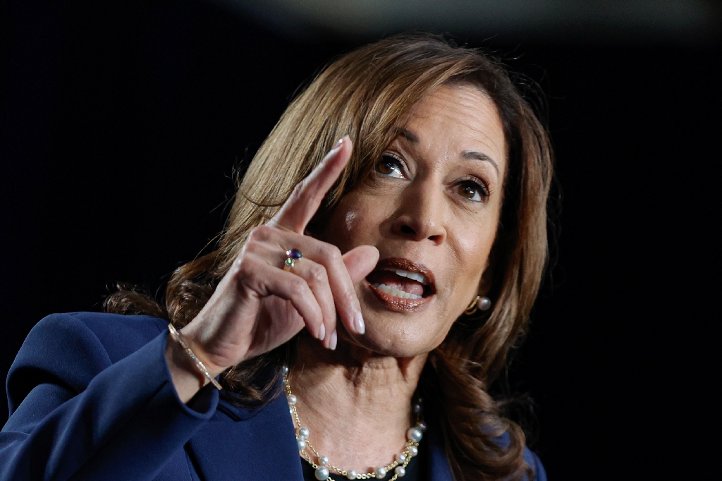 US Vice President Kamala Harris speaks at her first campaign rally in Milwaukee, Wisconsin, on July 23, 2024 / ©AFP