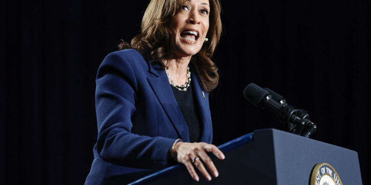 US Vice President and Democratic presidential candidate Kamala Harris gave a high-energy speech that met with enthusiastic applause / ©AFP