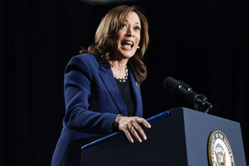 US Vice President and Democratic presidential candidate Kamala Harris gave a high-energy speech that met with enthusiastic applause / ©AFP