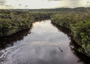 The Pira Parana territory is host to 17 communities of six different tribes. ©AFP