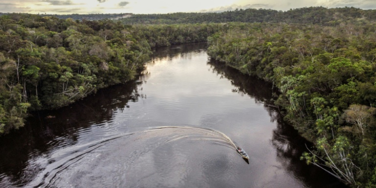 The Pira Parana territory is host to 17 communities of six different tribes. ©AFP