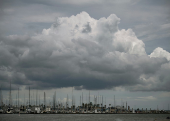 Boats sit in a marina in Corpus Christi, Texas ahead of the arrival of Tropical Storm Beryl which is forecast to roar ashore as a hurricane. ©AFP