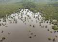 Aerial view of Laguna Grande in the protected Amazon rainforest of Cuyabeno, Ecuador, on March 26, 2024. ©AFP