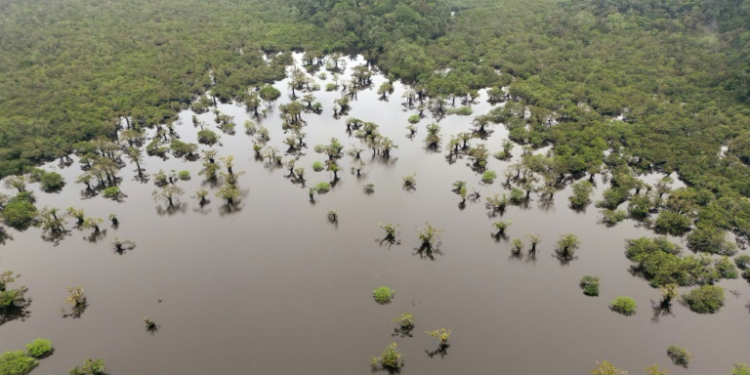 Aerial view of Laguna Grande in the protected Amazon rainforest of Cuyabeno, Ecuador, on March 26, 2024. ©AFP